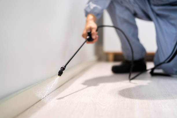 Bed Bug Pre-Treatment Preparation Assessment in Montara