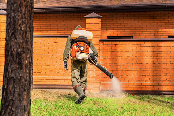 Bed Bug Clearance Verification and Documentation in Montara
